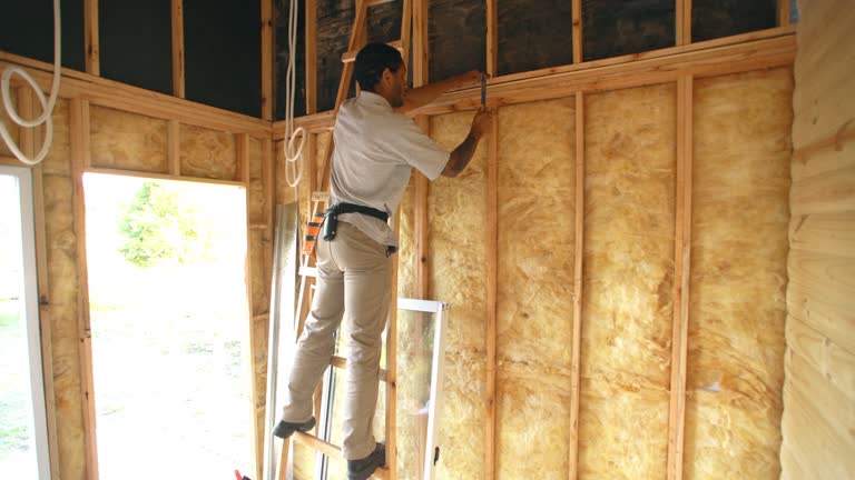 Best Spray Foam Insulation  in Painted Post, NY